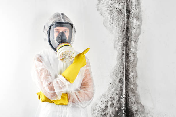 Best Comprehensive Air Testing for Mold Contaminants  in Central Square, NY